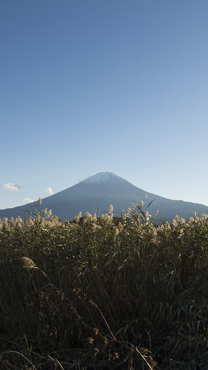 富士山の無料壁紙・待ち受け
