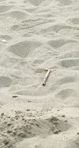 砂浜の壁紙